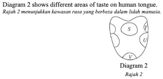 Jika segitiga sudut bersudut tegak atau 90 darjah. Soalan Latihan Sains Tingkatan 2 Pt3 Online