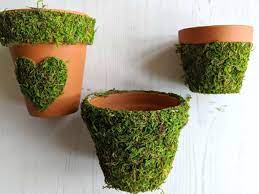 We did not find results for: How To Decorate Pots With Preserved Moss Craft Invaders