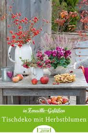 Tischdeko Mit Herbstblumen Herbstblumen Alpenveilchen Zierapfel