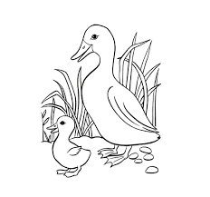 Belajar membaca menulis anak tk sd menyusun kata menjadi kalimat soal bahasa indonesia untuk anak tk. Duck Coloring Pages For Kids Novocom Top