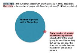 Для просмотра онлайн кликните на видео ⤵. Simian Line What Are The Advantages Hand Analysis Online
