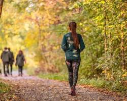 Imagem de calming image of a person on a nature walk