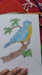 Pin By Rajesh Maniya On Printable Valentines Coloring Pages Art Drawings For Kids Bird Drawings Drawings Drawing color a bird bird drawing. art drawings for kids bird drawings