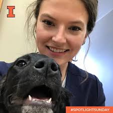 University of Illinois College of Veterinary Medicine
