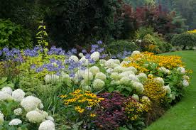 Some growers will dramatically drop the humidity of the grow room during the last few weeks of flowering using a dehumidifier. How To Plant The Perfect Perennial Garden Natorps