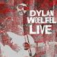 Dylan Woelfel @ The Catamount Lounge event image