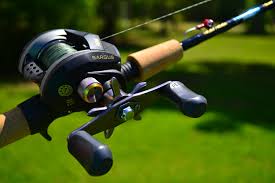 Spinning Vs Bait Casting Rods Gabe Dubois