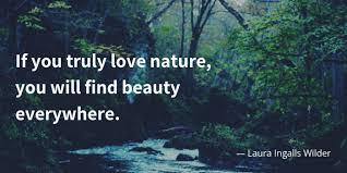 Like music and art, love of nature is a common language that can transcend political or social boundaries. 35 Delicate Quotes About Nature And Love Quotekind