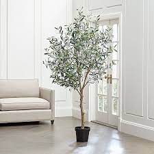 Potted Faux Olive Tree 7 Reviews Crate And Barrel Faux Olive Tree Olive Tree Large Indoor Plants