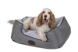 Small or large, your dog deserves a bed as comfy as yours. Best Dog Beds For 2020 That Your Pooch Will Love Snuggling Down On Mirror Online