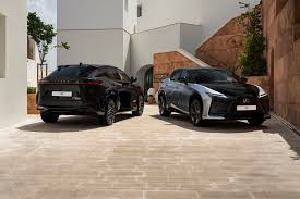 Onlyfans piu famose Viviana Robba è una creator di