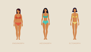 Body Types: Ectomorph, Mesomorph, Endomorph | How To Workout & Diet