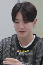 Exploring the Distinction Between Hoshi and Joshua in Seventeen