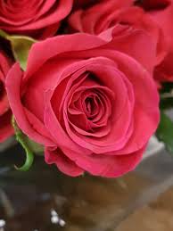 Flowers are an integral part and parcel of our lives, as we need different kinds of flowers for a variety of different purposes. World Afro Day V Twitter What Flower Are You I Believe Hair Types Are Like Flowers All Beautiful But Different We Need To Bloom The Way Were Created Https T Co Pj0iof7gpv Twitter