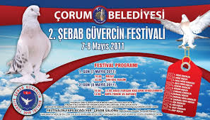 Sebap Guvercin Federasyonu