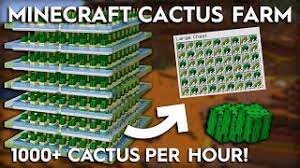 On spigot/bukkit/vanilla, after repeating this a hand full of times, the cactus will grow by 1 block and pop off due to the fence block. Minecraft Cactus Farm 1000 Per Hour 1 16 1 15 Youtube
