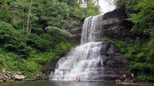 Maybe you would like to learn more about one of these? The Cascades Barney S Wall Hike