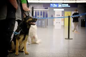 World leaders and politicians are notoriously composed, but when their dogs are around, they can't help but be a little smitten. Covid 19 Dogs Are Detecting The Virus At Airports World Economic Forum