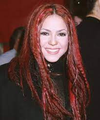 Pin On Beautiful Braids Dreadlocks