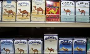 (ride) camels in the shadow of the pyramids. Camel Maker Reynolds Snuffs Out Workplace Smoking Tobacco Industry The Guardian