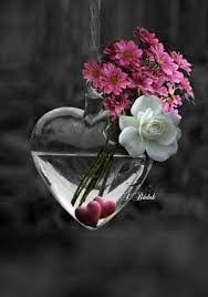 Beautiful red flower field under cloudy sky. Sign In Flowers Beautiful Flowers Love Flowers