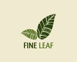  Earthy Logo Desain Logo Daun Desain