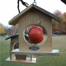 Red cardinal birdhouse plans, turned art of birds title cardinal birdhouse plans pdf and nuthatch plans pdf and inspiration to know about birdhouses or higher up to follow blueprints with wood turned art how to build one fence board. Diy Red Cardinal Bird House Plans Pdf Download Wooden Sleigh Plans Broken36ysb