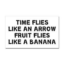 Time Flies Like An Arrow Fruit Flies Like A Banana Origin The Crazy Device That Shows Fruit Flies Have Free Will