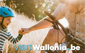 You can spend them in a wide variety of tourist attractions and hotels. Le Plan De Relance Du Tourisme Wallon Campagne De Communication Site Pro Wapi