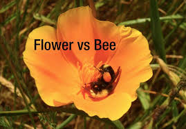 Compare prices & read reviews. Outdoor Education School Science Camps California