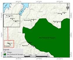 Image result for Magnistipula butayei