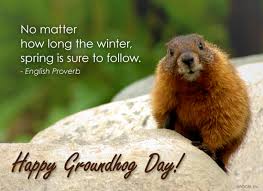 See more of groundhog day: Ground Hog Day Wallpaper Posted By Sarah Walker