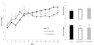 Regular Exercise Decelerated Ptz Induced Kindling Swimming