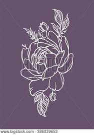 Maybe you would like to learn more about one of these? Floral Tattoo Outline Vector Photo Free Trial Bigstock