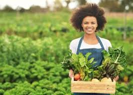 10 Most Profitable Agricultural Business In Nigeria In 2020 Agriculture Business Backyard Farming Tomato Farming