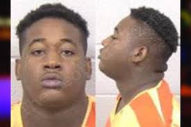 Terry Dennis — Paulding County Jail Bookings