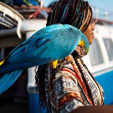 Contains information about making the decision to euthanase; Last Kiss At Home Chicago Pet Euthanasia And Cremation Services