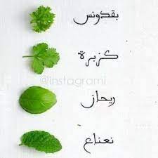 الصوره تتحدث auf twitter ويبقى السؤال المتداول هذا بقدونس ولا كزبرة صورة تحتاجها http t co reivf8yyjc