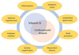 Vitamin D and Cardiovascular Disease: Current Evidence and Future  Perspectives