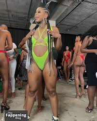 Chrisean Rock  babechannel  chriseanrockbabyy Nude Leaks OnlyFans Photo  33 | TheFappening