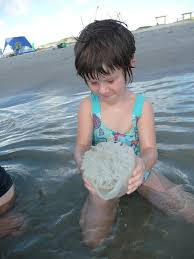 Maybe you would like to learn more about one of these? Mustang Island Or What To Do If You Get Stung By A Stingray Families In Nature