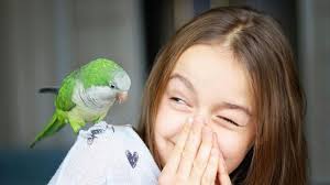 Entrevista con Jennifer Ackerman: "Los pájaros pueden pensar lógicamente y  razonar al mismo nivel que los niños"