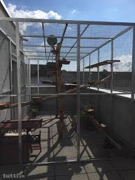 Katzen brauchen ihre streicheleinheiten, doch auch die freiheit ist den kleinen vierbeinern sehr wichtig. Balkonabsicherung Kosten Grunde Und Erfahrungen Wohnungskater De