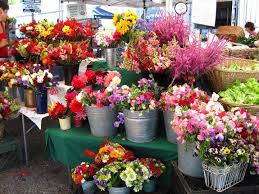 In 2019, sc gives took a leap forward with an increase of 74.5% in total donations over 2018 and an increase of 48% in the number of donors over 2018. Santa Cruz Farmers Market Special Events City Of Santa Cruz