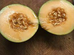 Growing Cantaloupe On The Prairies And West Coast Donna Balzer