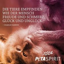 Peta tierrechte sprüche tiere bilder lachen ist gesund schöne sprüche auf einen blick. 14 Peta Ideen Zitate Tiere Peta Geist Zitate