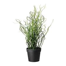 Ikea Us Furniture And Home Furnishings Artificial Garden Plants Artificial Potted Plants Artificial Plants