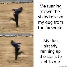 Me Running Down The Stairs To Save My Dog From The Fireworks Meme Memezila Com
