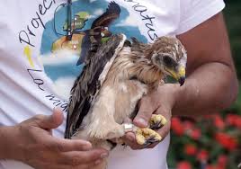 Likeohmygoth naked texted back and she said she would meet