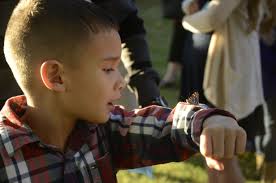 Steps of Honor: Military survivors remember fallen troops